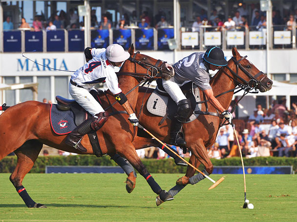 polo-experiencia polo caballos